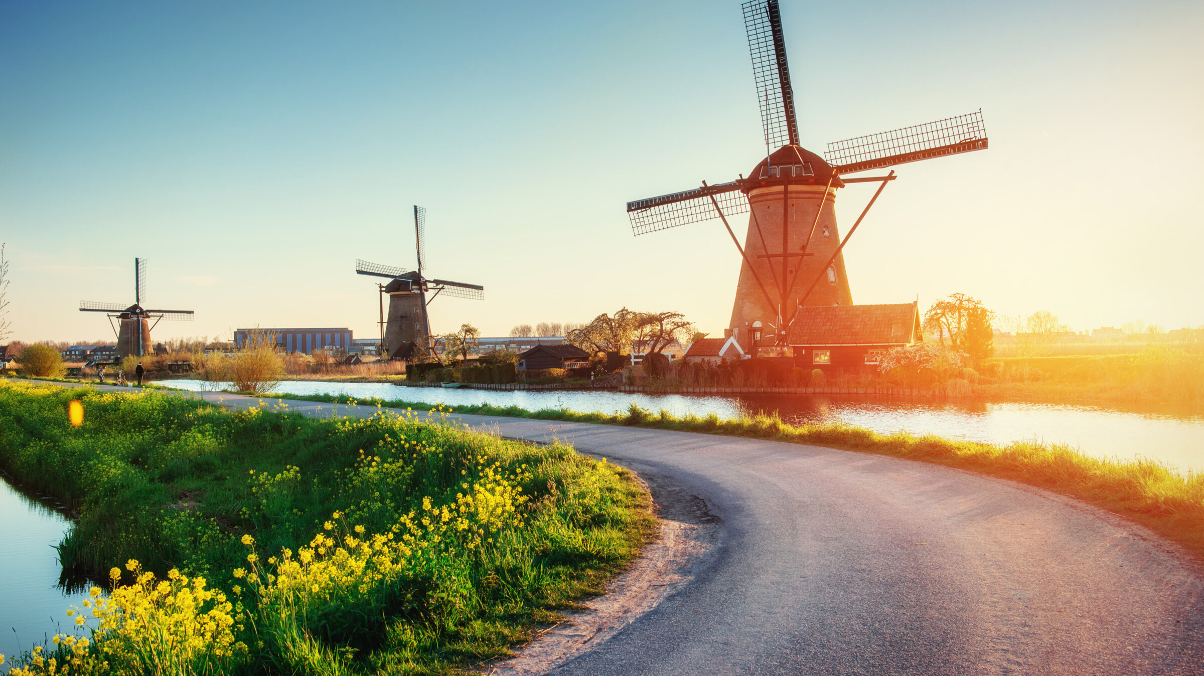 Shutterstock 393962401