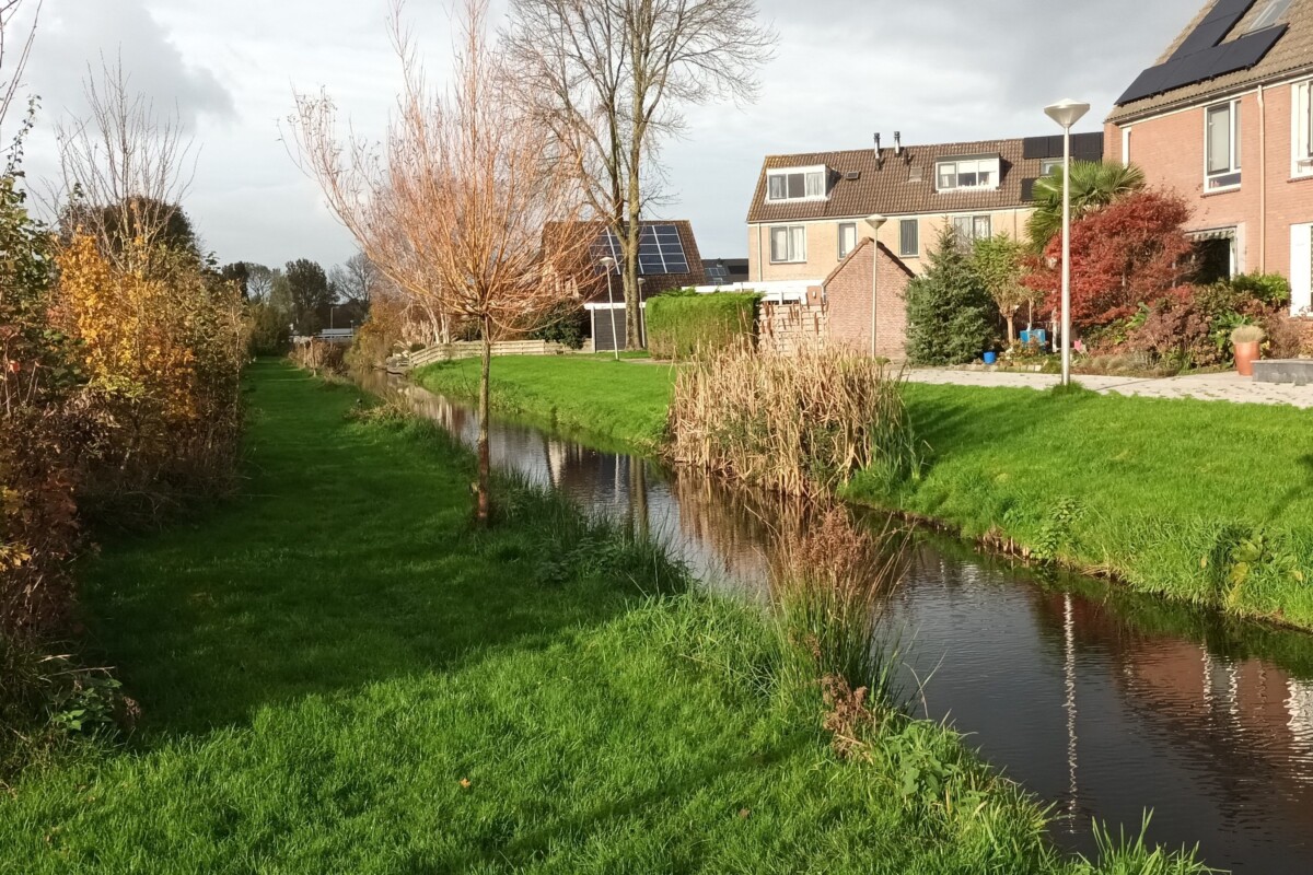 Grasveld en bosplantsoen in woonwijk 2