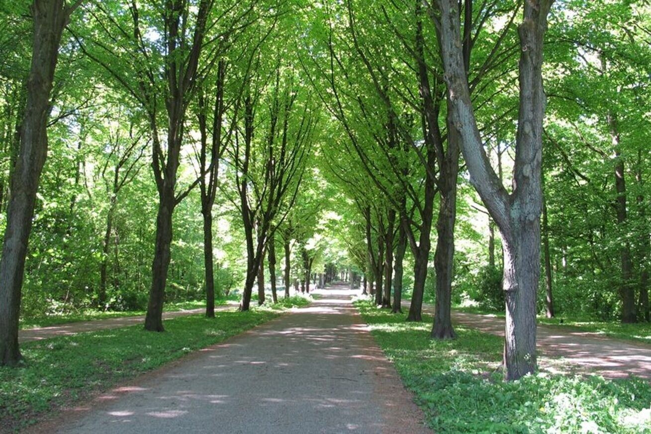 Amsterdamse Bos
